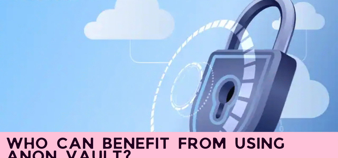 Who Can Benefit from Using Anon Vault?