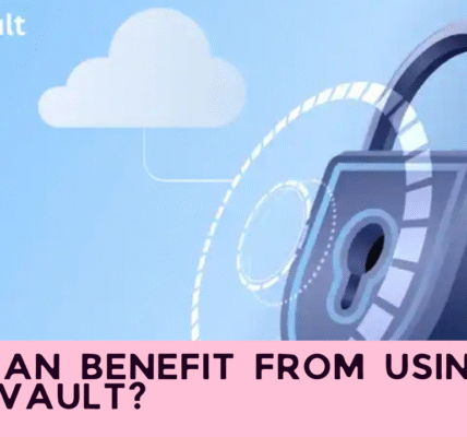 Who Can Benefit from Using Anon Vault?