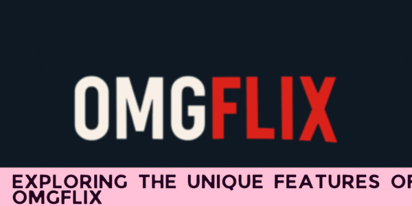 Exploring the Unique Features of OMGFlix