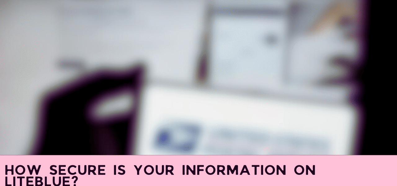 How Secure is Your Information on LiteBlue?